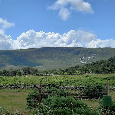 Отель Oakwood Glamping Mourne Mountains Moyad Экстерьер фото
