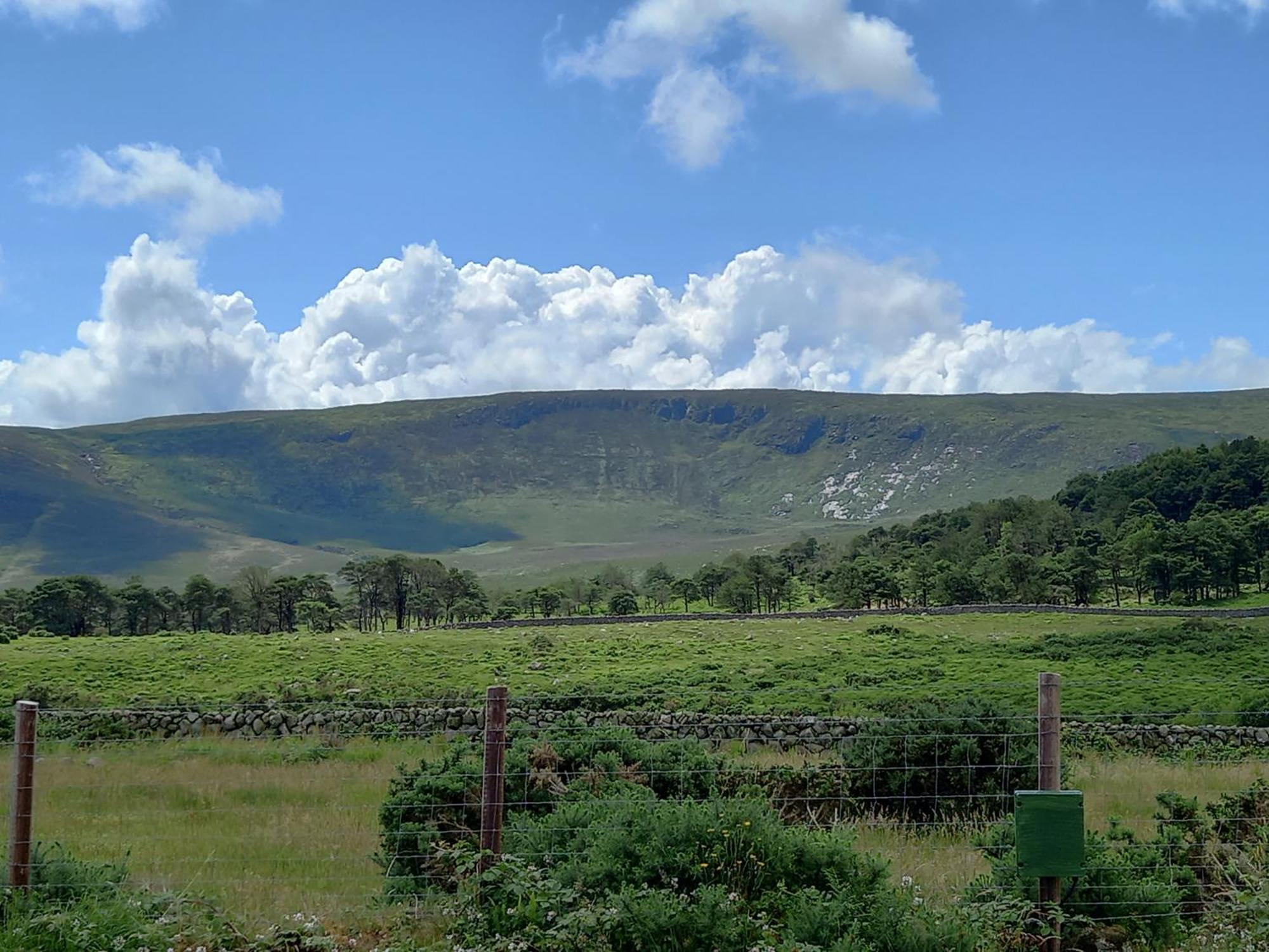 Отель Oakwood Glamping Mourne Mountains Moyad Экстерьер фото